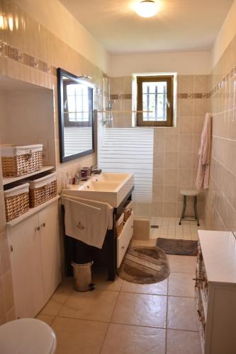 une salle de bain avec un lavabo et des toilettes dans l'établissement Gite Au Tranquillou, à Albias