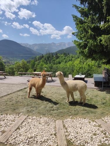 Φωτογραφία από το άλμπουμ του Alberg Can Ribals σε Lles