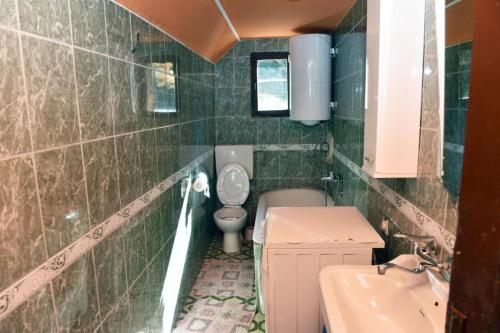 a small bathroom with a toilet and a sink at Seosko domacinstvo Imanje Medojevic in Mojkovac