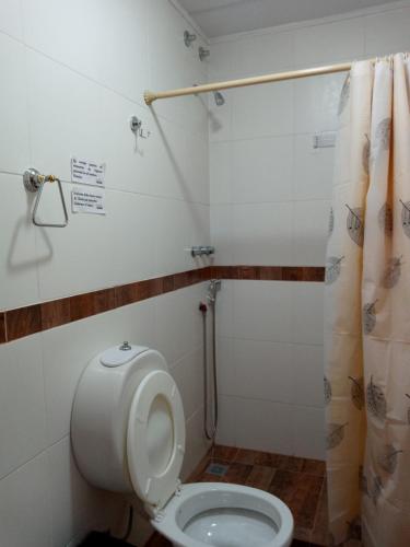 a bathroom with a toilet and a shower curtain at Complejo Sur Azul in El Chalten