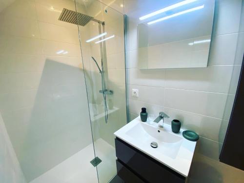 une salle de bain avec un lavabo et une douche dans l'établissement Le doyenne, à Nevers