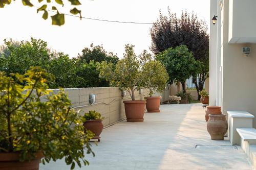 a walkway with potted plants and trees in pots at Casa d'Arte in Vrahati