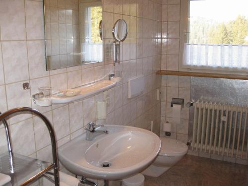 Koupelna v ubytování Pension Löffelschmiede