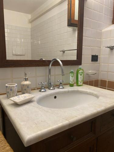 A bathroom at Rustico Althea - immerso nel verde