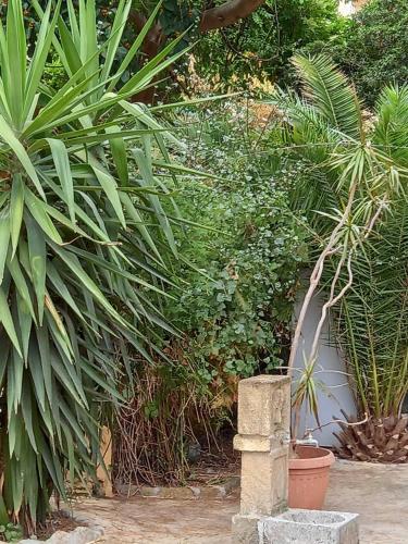 Villa Coglitore a Bagheria – Photos 2