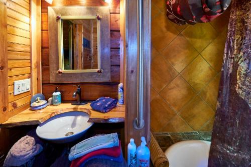a bathroom with a sink and a shower at Creekwalk Inn Bed and Breakfast with Cabins in Cosby