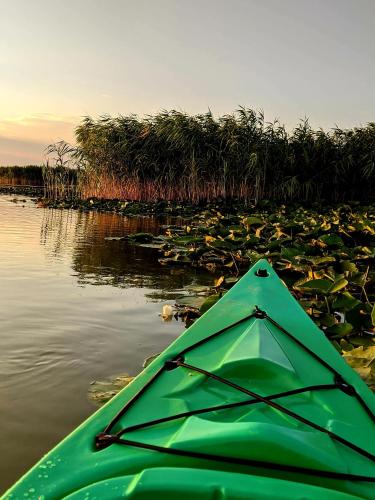 Landskap semula jadi dekat dengan rumah tamu ini
