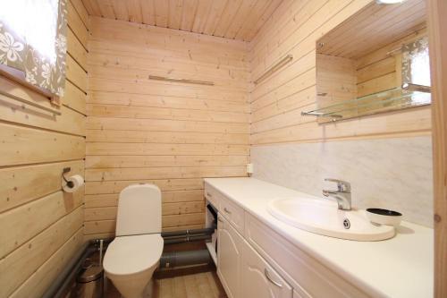 La petite salle de bains est pourvue d'un lavabo et de toilettes. dans l'établissement Villa Lilian, à Ähtäri