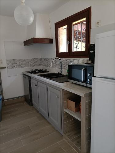eine Küche mit einer Spüle, einer Mikrowelle und einem Kühlschrank in der Unterkunft Gîte T3 Sarlat d'oie in Sarlat-la-Canéda