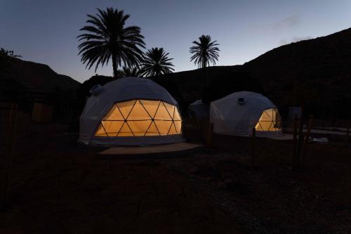 two tents lit up at night with palm trees in the background at wecamp Cabo de Gata in Las Negras