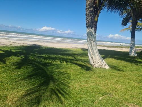 a shadow of a palm tree on the beach at APARTAMENTO À BEIRA MAR - PÉ NA AREIA - Ilhéus in Ilhéus