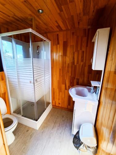 ein Bad mit einer Dusche, einem WC und einem Waschbecken in der Unterkunft La roulotte géante in Le Tampon