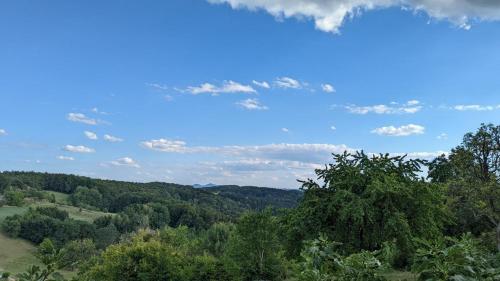 a view of a valley with trees and a blue sky at Ursteirerhof - Familie Kerschbaumer in Palsdorf