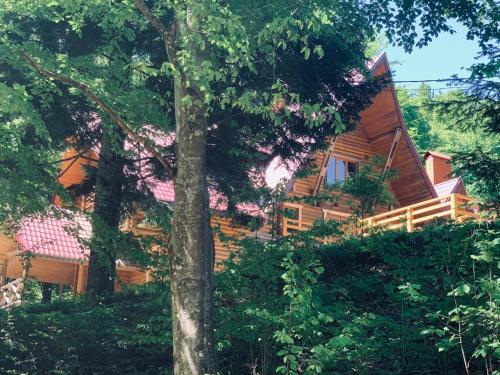 una cabaña de madera en el bosque con un árbol en Voronins Retreat House, en Lumshory