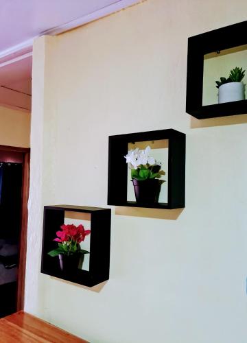 a wall with three pictures of flowers on it at Jungle Beach Bungalow with AC & Fiber optic in Puerto Viejo