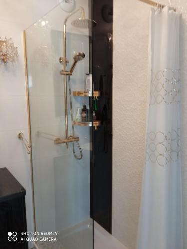 een badkamer met een douche en een glazen deur bij Apartament Lawendowy in Kudowa-Zdrój