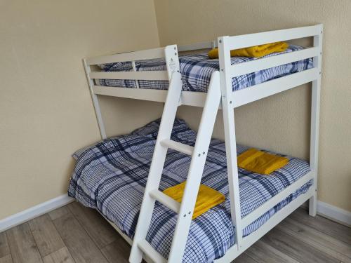 two bunk beds in a room with a ladder at 5 Berth bungalow in Mablethrorpe (Joe's Place) in Mablethorpe