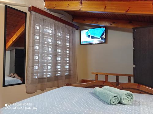 TV a/nebo společenská místnost v ubytování Bratis House