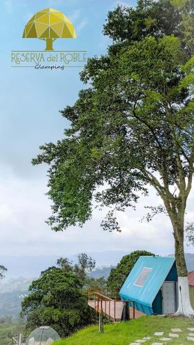 a tree and a blue tent in a field at Glamping Reserva del Roble in La Vega