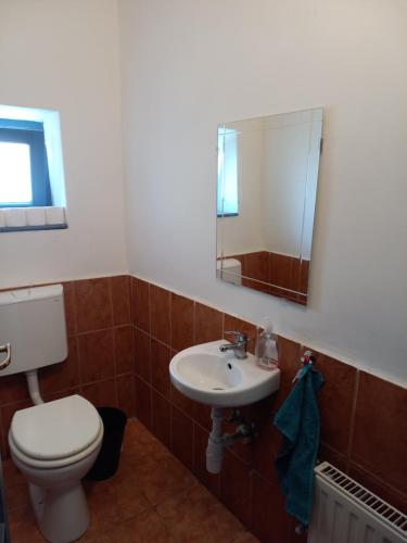 bagno con servizi igienici, lavandino e specchio di Duba ház a Balaton-felvidéken a Tapolca