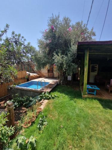 einen Hof mit einem Pool und einem Haus in der Unterkunft Kabak Lost Forest VİLLA in Kızılcakaya