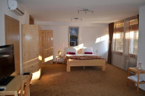 - une chambre avec un lit, un bureau et une télévision dans l'établissement Hotel Berr, à Sarajevo
