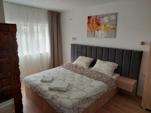 1 dormitorio con 1 cama con cabecero gris en Ela's apartment, en Băile Herculane