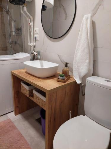 un bagno con lavandino, WC e specchio di Ela's apartment a Băile Herculane