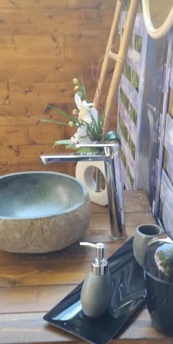 a counter top with a sink and a bowl at Domaine Authentique de Rose in Porto-Vecchio