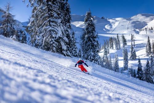 a person is skiing down a snow covered slope at das Bergerleben in Sonnenalpe Nassfeld