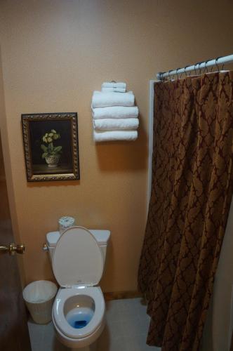 a bathroom with a toilet and a shower with towels at Greenbrier Inn Killington in Killington