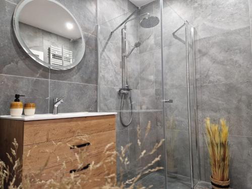 a bathroom with a shower with a sink and a mirror at Apartament Iławianka in Iława