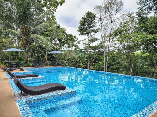 Imagen de la galería de HOTEL MADEIRA BOUTIQUE, en Doradal