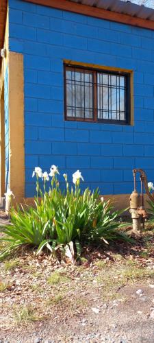 Casita de Colores – Photos 3