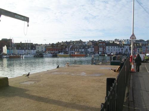 a group of birds sitting on a dock near the water at Boaters Guesthouse in Weymouth