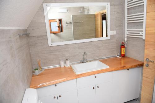 un baño con lavabo y espejo en Gora Home 9, en Žabljak