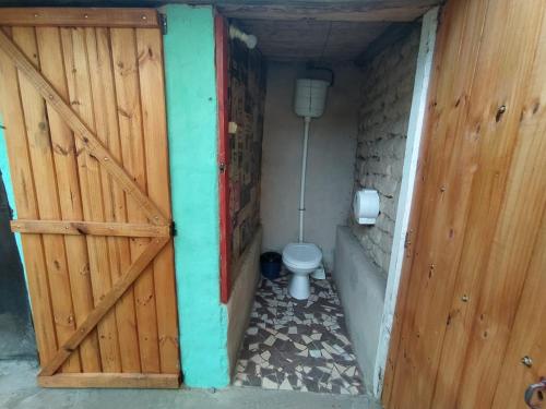 a bathroom with a toilet and a wooden door at Casa Arbol Domos in Cafayate