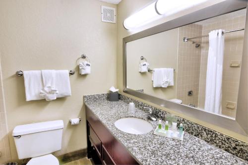 a bathroom with a sink and a toilet and a mirror at Holiday Inn St. Petersburg N - Clearwater, an IHG Hotel in Clearwater