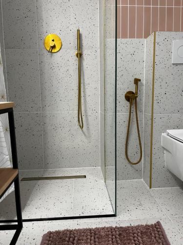斯維諾烏伊希切的住宿－marga_apt，浴室里设有玻璃门淋浴