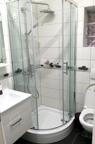 Apartments with parking space Novi Vinodolski - 5488
