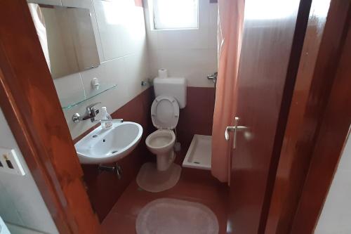 małą łazienkę z toaletą i umywalką w obiekcie Studio Bibinje 5786b w Bibinje
