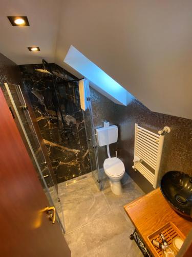 a bathroom with a toilet and a glass shower at Casa Lucky in Râşnov