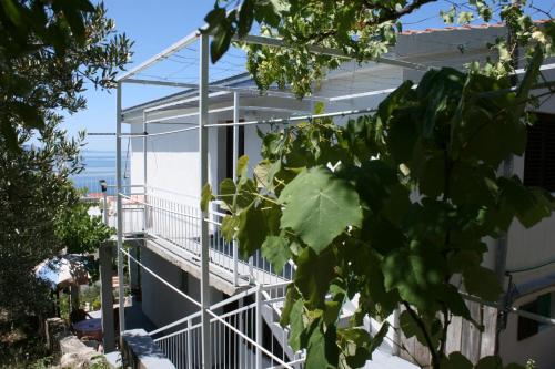 Fotografia z galérie ubytovania Apartments with a parking space Podaca, Makarska - 6798 v Podaci