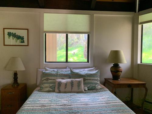 1 Schlafzimmer mit einem Bett mit Kissen und 2 Fenstern in der Unterkunft Rustridge Ranch & Winery in St. Helena
