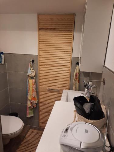 un piccolo bagno con servizi igienici e lavandino di Haus am Donatsturm a Freiberg