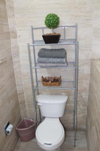 Habitaciones 1 acceso independiente y autonomo Puebla في بوبلا: حمام مع مرحاض وزرع على رف
