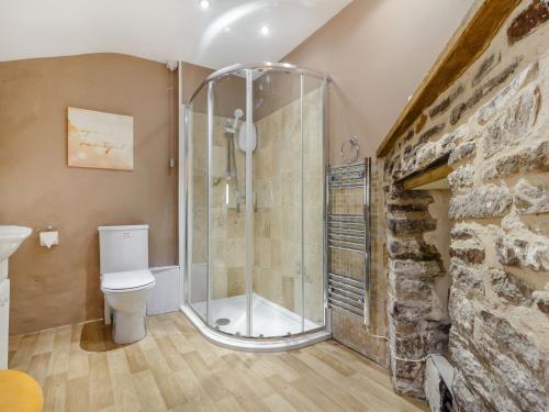 a bathroom with a shower and a toilet at Caner Bach Lodge in Bridgend