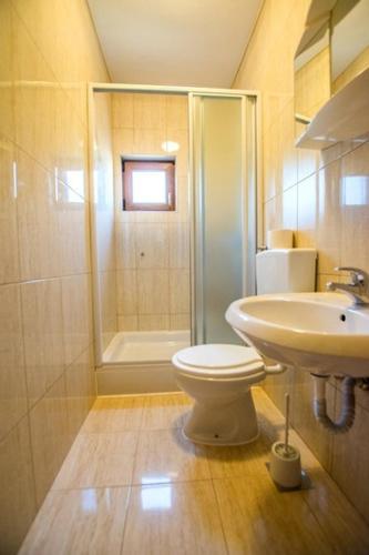 a bathroom with a toilet and a sink and a shower at Apartments with a parking space Starigrad, Paklenica - 6595 in Starigrad