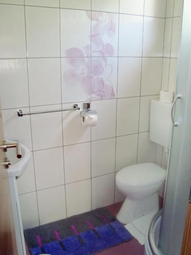 Apartments with parking space Starigrad - Paklenica - 6605