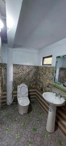 a bathroom with a toilet and a sink at Vu Linh Homestay in Vũ Linh